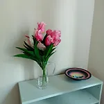 Eucalypti 9